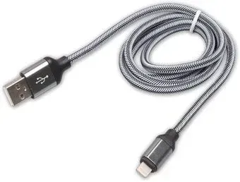 Ritmix RCC-421