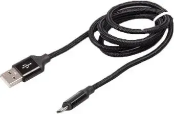 Ritmix RCC-411