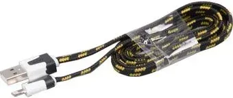 Ritmix RCC-221