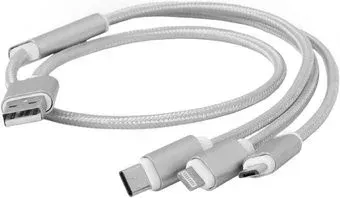 Cablexpert CC-USB2-AM31-1M-S