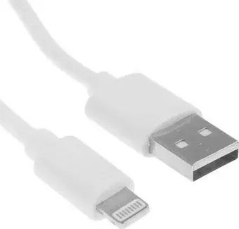 BoraSCO USB Type-A - Lightning 20543