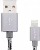 Borofone BX24 Lightning 1 м (серый)