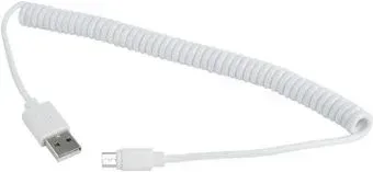 Cablexpert CC-mUSB2C-AMBM-6-W