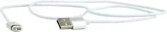 Cablexpert CC-USB2-AMmUMM-1M