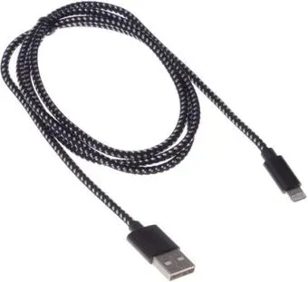 Buro Lightning-USB 2.0 1м (черный)