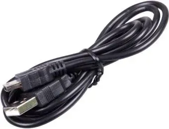 Ritmix RCC-100