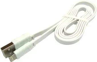 Hoco X5 Lightning (белый)