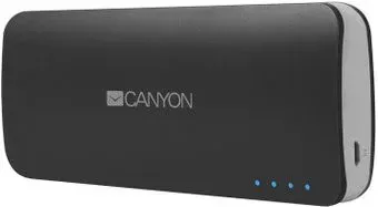 Canyon CNE-CPB100 (серый)