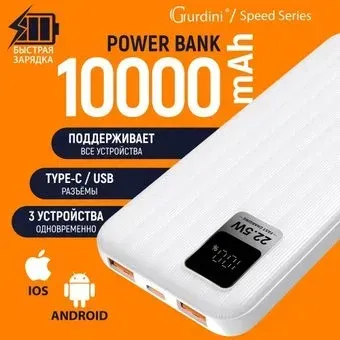Gurdini Speed Series GPPD-01W 10000mAh