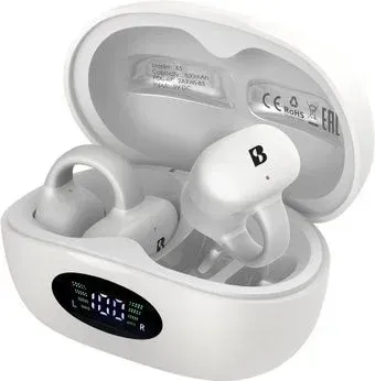 Biosong B5