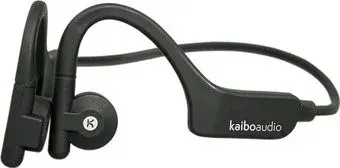 Kaiboaudio Kaibo Verse Plus (черный)