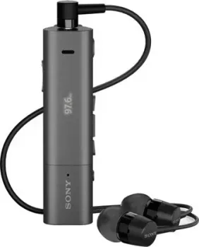 Sony SBH54 (черный/серый)