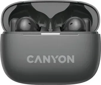 Canyon OnGo 10 ANC TWS-10 (черный)