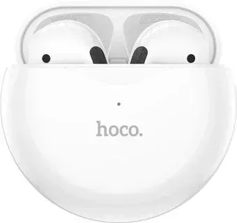 Hoco EW24