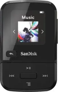 SanDisk Clip Sport Go (16GB, черный)