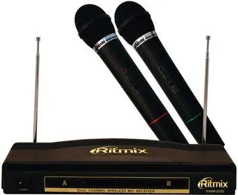 Ritmix RWM-220