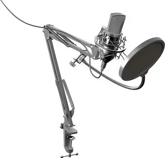 Ritmix RDM-169