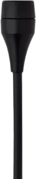 AKG C417 L