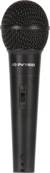 Peavey PVi 100