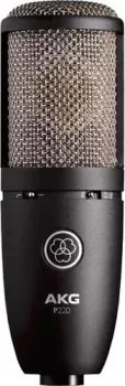AKG P220 (черный)