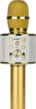 Hoco BK3 (золотистый)