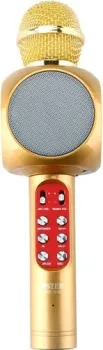 Wster WS-1816 (золотистый)