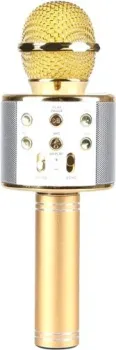 Wise WS-858 (золотистый)