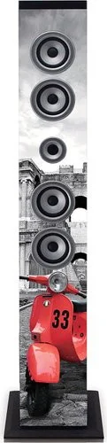 iCES IBT-6 Roma