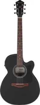 Ibanez VC44CE WK
