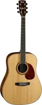 Cort Earth100 NS