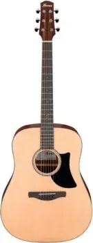 Ibanez AAD50-LG