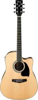 Ibanez PF15ECE-NT