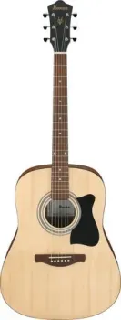 Ibanez V50NJP OPN