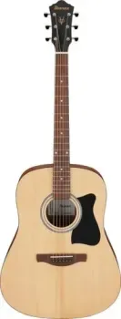 Ibanez V40 OPN