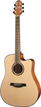 Crafter HD-250CE