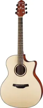 Crafter HG-250CE