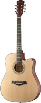 Fante FT-221-N