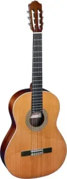 Almansa Student 402