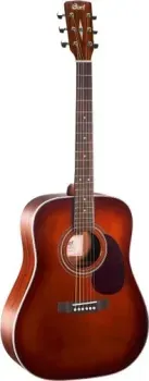 Cort Earth70 BR