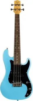 Flight Mini Bass Lite BL