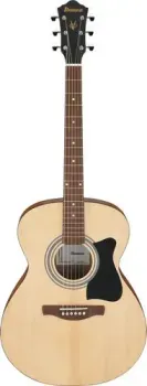 Ibanez VC50NJP OPN