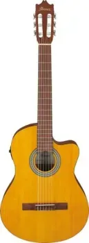 Ibanez GA3ECE OAM