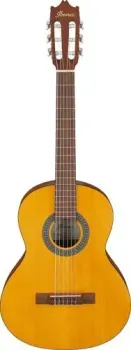 Ibanez GA2 OAM