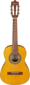 Ibanez GA1 OAM