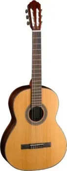Cort AC250