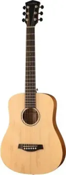 Parkwood S-Mini ADN