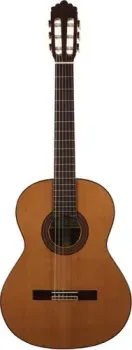 Altamira N300
