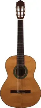 Altamira N100