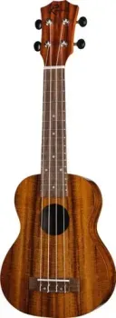 Ramis RS-02
