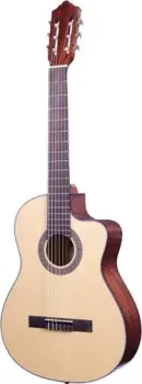 Crafter HC-100CE